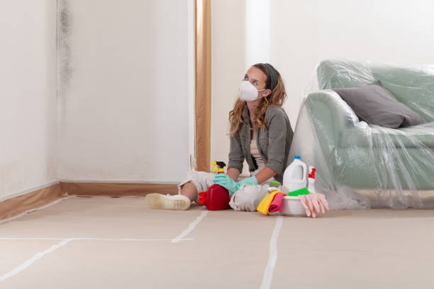 Reliable Commercial Mold Remediation contractor in Lyons, GA by WQB Mold Removal